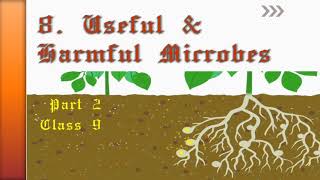 8 Useful amp Harmful Microorganisms Part 2 Class 9  Rhizobium Symbiotic bacteria [upl. by Macmahon]