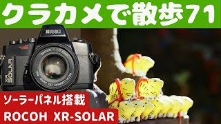 【S043】チープなレンズ３本と「RICOH XRSOLAR」を持って「多聞院」を歩いた～フィルムカメラ散歩その７１～ [upl. by Aikemat994]