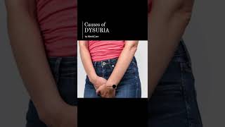 Causes of Dysuria [upl. by Llebiram224]