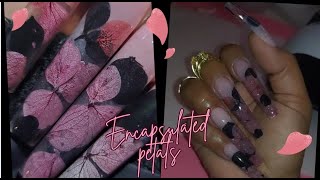 Quick N Easy Fall Nail art  How To Encapsulate Real Petals Or Anything [upl. by Yatnod]