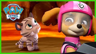 I cuccioli dellUltimate Rescue salvano le tigri  PAW Patrol I cuccioli Episodi Italiano Pup Tales [upl. by Miof Mela687]