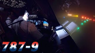 FREEZING FOG Takeoff in COCKPIT BOEING 7879 [upl. by Notnel628]