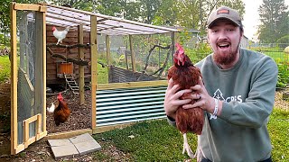 FARMER Builds DREAM Chicken Coop Run And PLAYGROUND [upl. by Trebo277]