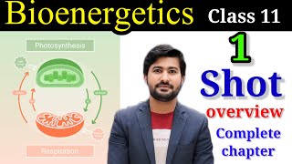 Bioenergetics 1 shot overview class 11 biology by Irtisam Biology [upl. by Elaine]