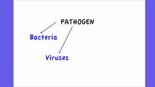 631 Define Pathogen [upl. by Anoval]