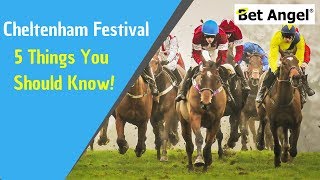 Five top tips for betting and Betfair trading at the Cheltenham festival [upl. by Erland]