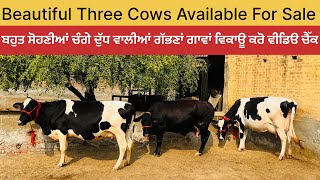 3 cows for sale 3 ਗਾਂਵਾਂ ਵਿਕਾਊ [upl. by Eimmot]