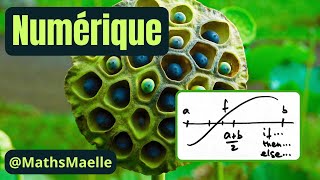 Méthode de dichotomie  Résolution numérique des équations non linéaires Analyse numérique [upl. by Elleyoj513]