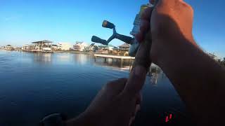 Speckled Trout fishing Sneads Ferry North Carolina [upl. by Sinnaiy]