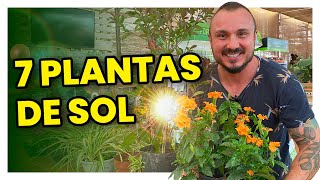 7 plantas para cultivar no sol  Conheça e aprenda como cuidar [upl. by Dow]