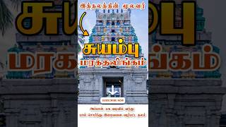 Thiruvadisoolam Siva Temple and  108 divyadesam Thiruvadisoolam Karumariyamman kovil shorts [upl. by Argus]