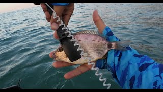 Dalgalı Denizde Belly Boat ile LRF Avı fish lrf ajing bellyboat floattube fishing [upl. by Witt]