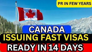 GOOD NEWS Free Visa To Canada FLY IN 14 DAYS  canada migration 2024 [upl. by Yrrak]