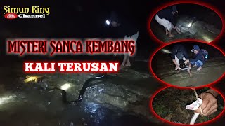 Misteri Sanca Kembang Kali terusan Pengganggu ternak warga [upl. by Nilram120]