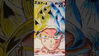 SSJ 1 VS SSJ BLUE [upl. by Akinor65]