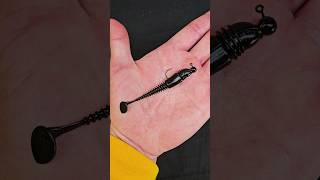 Eurotackle 3 Inch BVibe Swimbait Rigged on Nako Tungsten Ball Jighead for BFS Fishing [upl. by Yssak179]