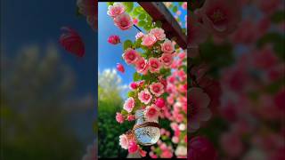 Beautiful Quran recitation 💝 surah Al rehman ayah 112 quran quranismylife shorts [upl. by Lorie318]