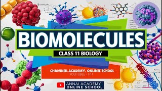 Biomolecules Decoded Unlocking Class 11 Biology [upl. by Ataymik750]