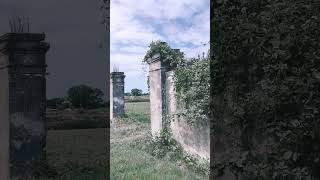 Villa Veneta abbandonata Fossalta di Portogruaro urbex abbandonata shorts [upl. by Jurgen]