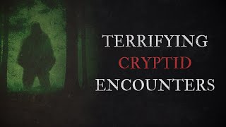 6 Scary Cryptid Encounter Horror Stories [upl. by Alberik]