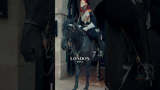 Horse Guards Horse Takes a Leak  Royal Guard  horse guards parade  british royal guard  2023 [upl. by Novad]