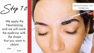 Eyebrow tinting special step by step tutorial  Thuya Professional [upl. by Bonine23]