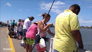 Ponte Tramandaí  Imbé Pesca de Sardinha 150218 [upl. by Aradnahc]