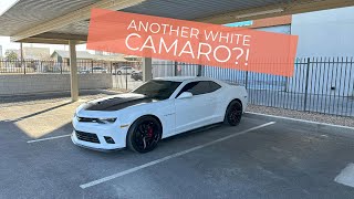 I Bought a 2015 Camaro SS 1LE Then IMMEDIATELY Put New Tires On It [upl. by Narra]