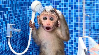 Monkey Baby Bon Bon oes to the toilet and plays with Ducklings in the swimming pool [upl. by Fishbein479]