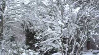 First winter snow in the Hogsback [upl. by Ecnerual71]