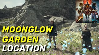 Where Is Moonglow Garden  Moonglow Garden Location  Dragons Dogma 2 [upl. by Zenobia]