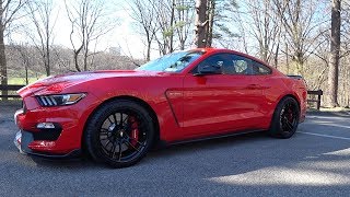 Shelby GT350 Daily Driven 1 Year Review  Auto Fanatic [upl. by Onitsuaf772]