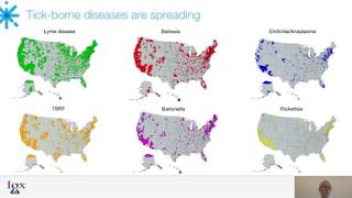 Overview of TickBorne Diseases and Diagnostic Tests Available [upl. by Hajidak]