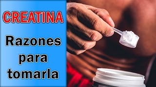 Beneficios de la Creatina  Por Qué Utilizarla [upl. by Waldman]