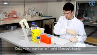 Inhibition de lhémagglutination IHA [upl. by Japeth]