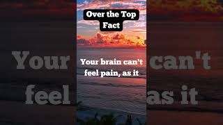 Top Fact Your brain quotes psychologyfacts facts [upl. by Kier687]