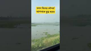 চলন বিলের সৌন্দর্য আপনাকে মুগ্ধ করবে। cholonbil trainjourney boatjourney fyp viralshort [upl. by Ytisahcal]