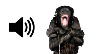 1 HOUR of Monkey Screaming [upl. by Arbba]