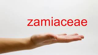 How to Pronounce zamiaceae  American English [upl. by Ring]