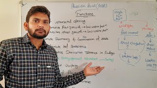 Functions of Abscisic Acid PhytohormoneCSIR NET In Hindi [upl. by Skill]