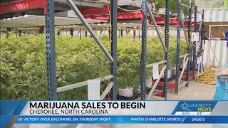 Cherokee marijuana sales to begin [upl. by Abie96]