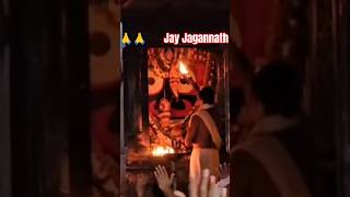 Morning Mangal arati darshan of lord Jagannathjay Jagannathpurilove trending shortvideosong [upl. by Anaeerb132]