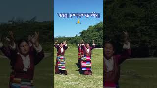 UPCOMING VIDEO  STAY TUNE miao pemakoe tibetandance traditional fypシ゚viral explorepage [upl. by Ignacia]