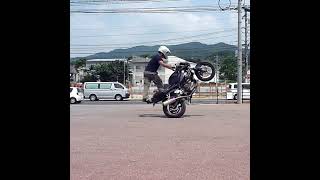 wheelie cbr600f4i stunt shorts freestyle shortvideo motovlog motostunt motorcycle [upl. by Bowen]