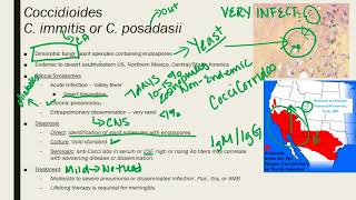 Coccidioides ParacoccidioidesTalaromycosis Penicillium [upl. by Allegra758]