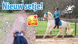 Marley mag weer DRAVEN LeMieux outlet amp galop Nacho verbeterd  felinehoi VLOG 547 [upl. by Anayk413]