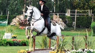 Working Equitation a Fun Way to Train Seriously  Pedro Neves clinic [upl. by Artiek]