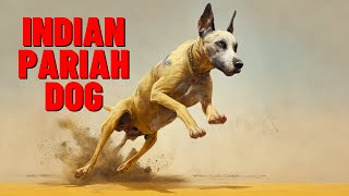 Indian Pariah Dogs The Surprising Facts You Need to Know [upl. by Saks]