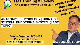 Anatomy amp Physiology  Urinary System  Endocrine System [upl. by Edrahc]