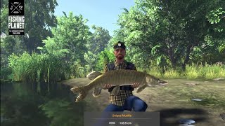 Fishing Planet  Unique Muskie Hunt part 31 [upl. by Aisatan114]